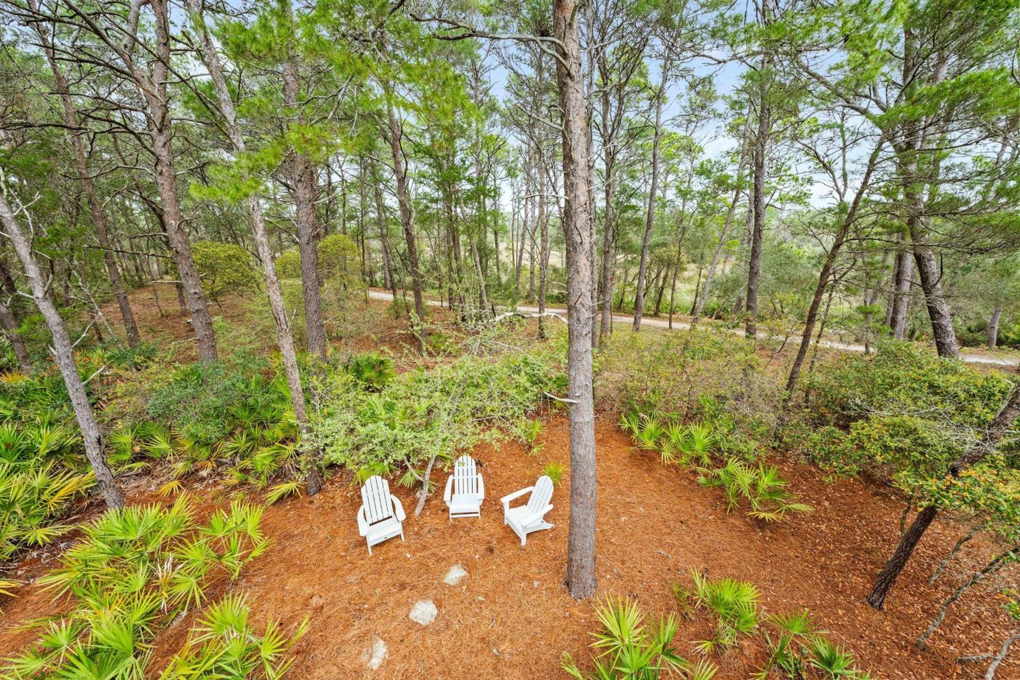 Vila Dandelion Santa Rosa Beach Exteriér fotografie